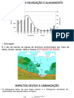 Enchente X Inundação X Alagamento: Precipitação e Vazão