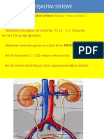 Boşaltim Si̇stemi̇ A.