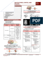 (ANA) 6.02 Gross Brain Features, Cortex, - Neurohistology