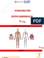 Sistema cardiovascular e sangue