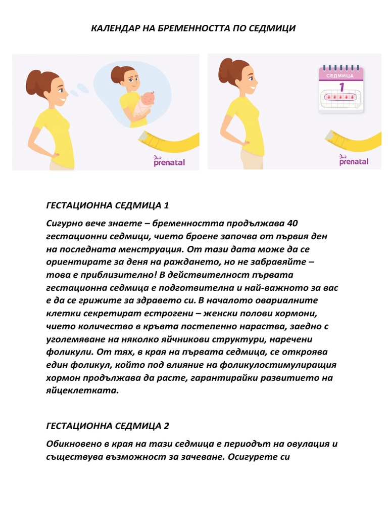 КАЛЕНДАР НА БРЕМЕННОСТТА ПО СЕДМИЦИ | PDF