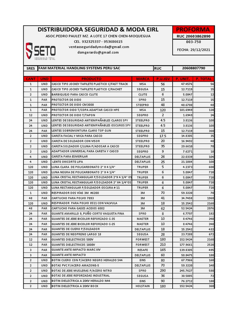 003750 Fam Material Handling Systems Peru Sac PDF
