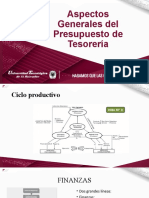 Aspectos Generales Del Presupuesto de Tesoreria