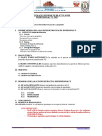 Esquema de Informe Prac. Pre Prof Vi 2022-X