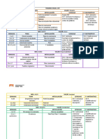 Temario Anual 1NT-PK