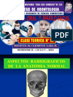 Facultad de Odontologia: Clase Teorica #10