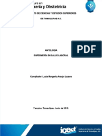 PDF Antologia Enfsaludlaboralpdf - Compress