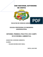 Informe de Practica de Campo