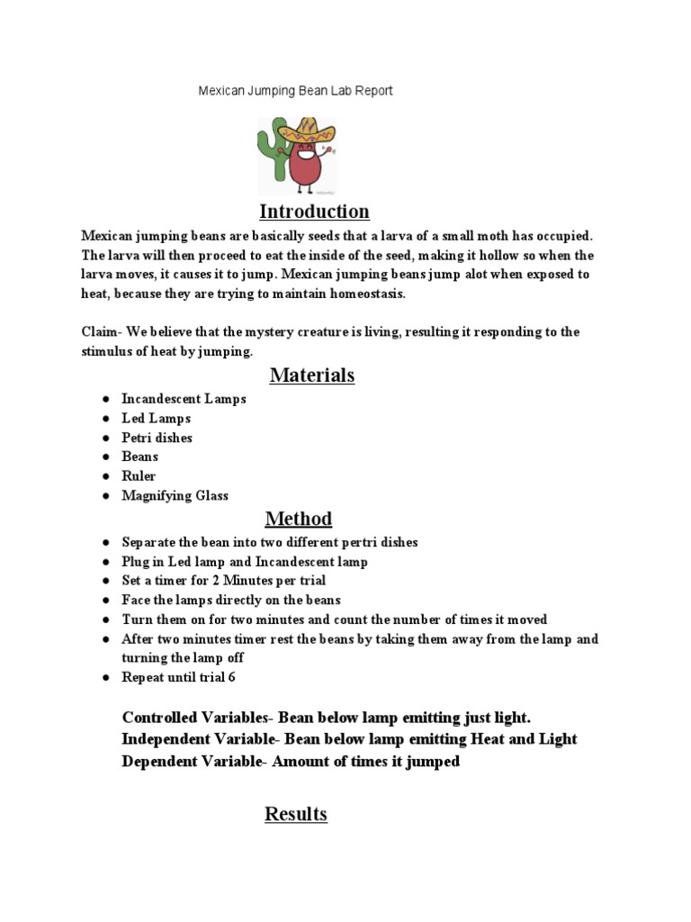 Mexican Jumping Bean Lab Report Heat Stimulus Causes Jumping PDF