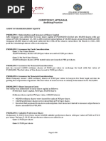 AUDITING-Audit of Shareholders' Equity