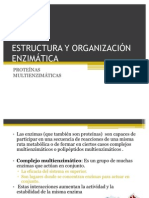 Estructura y Organización Enzimática