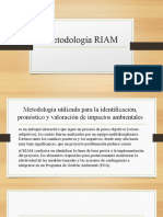 Metodología RIAM