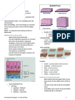 Animal & Plant Tissue Types