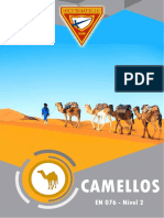 EN 076 Camellos Arnold