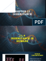 11.4 Inheritance in Humans