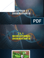 11.1 Monohybrid Inheritance