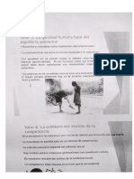 La Igualdad Humana Base Del Equilibrio Ambiental