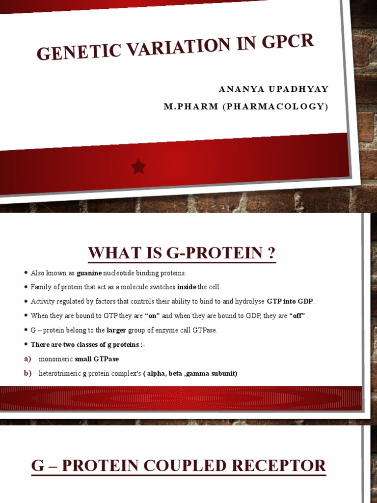 Genetic Variation in GPCRs Explained | PDF | Cell Signaling | Biomolecules