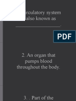 Circulatory System Quiz