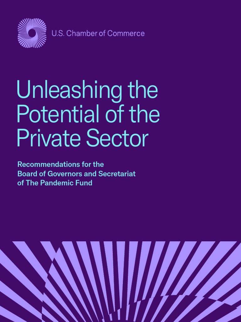 USCC Unleashing The Potential of The Private Sector For The Pandemic