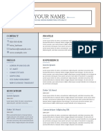 Simple Plain Resume Format in Word 4