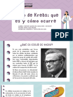 Ciclo de KREBS - Sthefany Valeria Del Aguila Rios