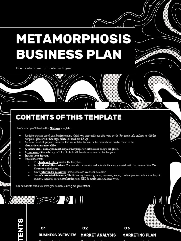 A Business Plan For Promoting Knowledge Of The Planets Leveraging