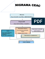 Organigrama Ceac