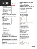 Permanent Maxillary Lateral Incisor Guide | PDF | Dentistry | Dental ...
