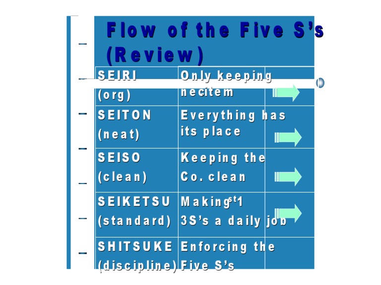 5 S Presentation1 | PDF