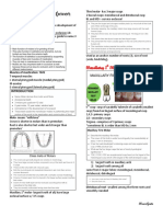 7-Max Molars