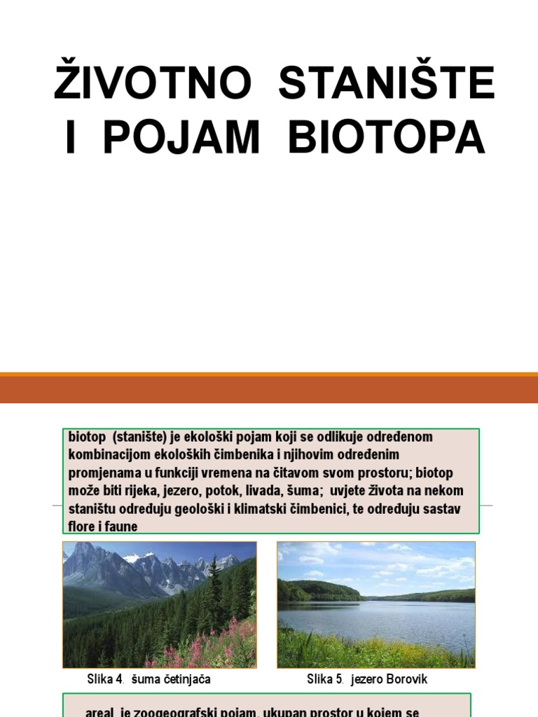 Temeljna Svojstva Biocenoza I Ekosustava | PDF