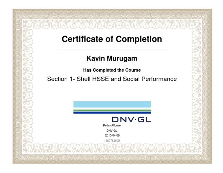 Section 1 - Shell HSSE and Social Performance | PDF