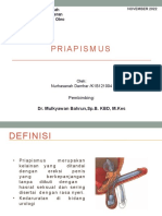 PRIAPISMUS 2