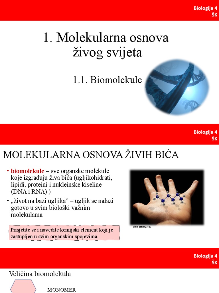 Molekularna Osnova Živog Svijeta | PDF