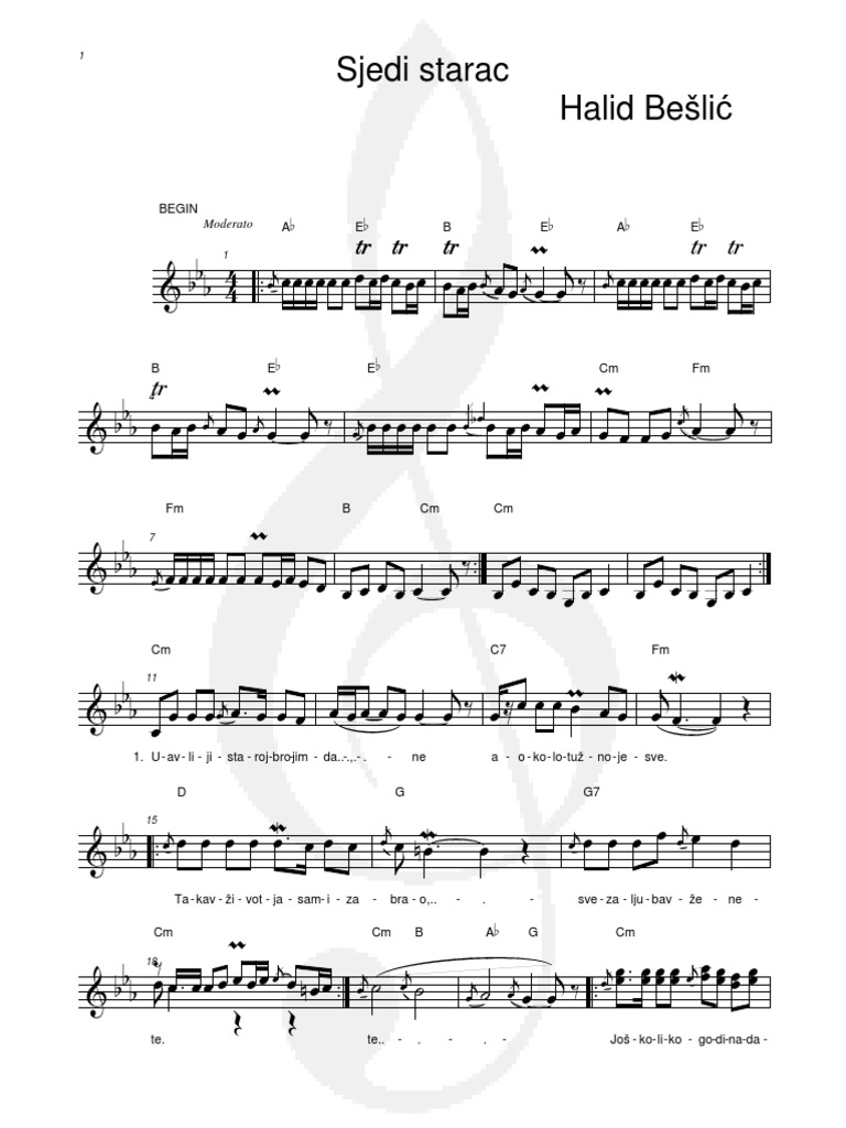 Halid Beslic Sjedi Starac PDF