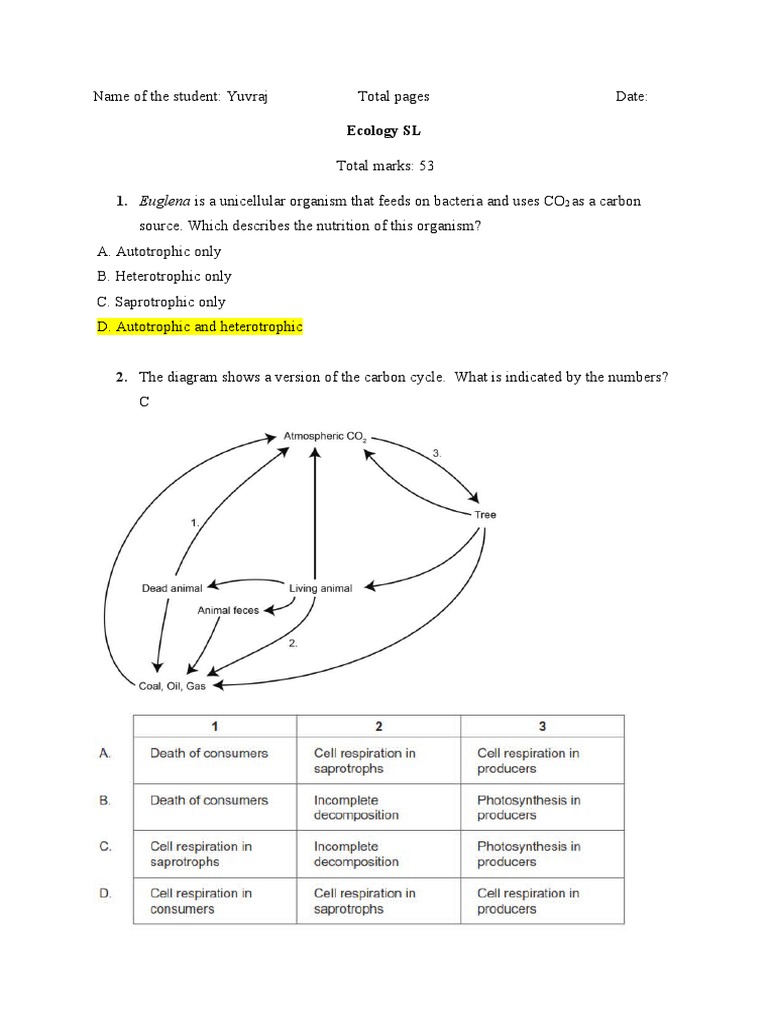 Carbon Cycle Assignment Overview | PDF | Carbon Cycle | Carbon Dioxide