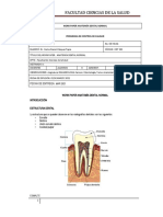 Work Paper Anatomía Dental Normal