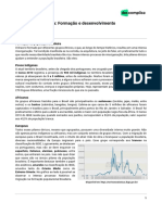 aprofundamento-geografia-População brasileira Formação e desenvovimento-03-06-2020-e3a60f5a196a955e149b272276e0f1f7