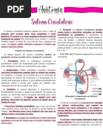 Sistema circulatório - Copia