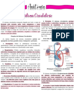 Sistema Circulatório