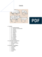 Resumos Francês Teste 1