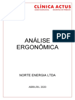 Analise Ergonômica Norte Energia - Lies Manaus