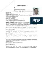 Curriculum Vitae Nuevo S.B