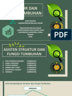 Judul 6 Struktur Dan Fungsi Tumbuhan