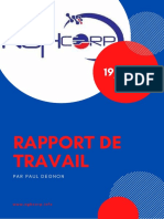 Rapport de Travail Paul