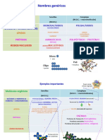 Clasificación Biomoléculas