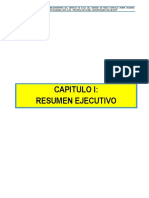 Capitulo I: Resumen Ejecutivo