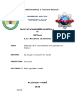 Diagnóstico de La Comercialización en La Agricultura en Huánuco