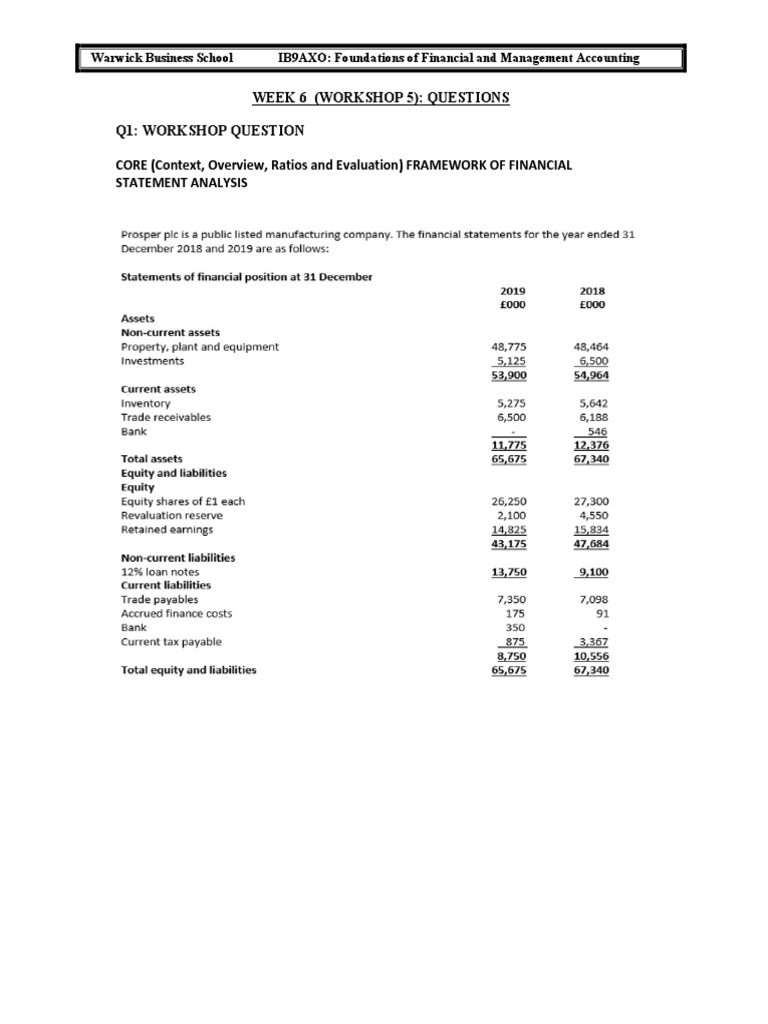 Workshop 5 Qs | PDF | Equity (Finance) | Revenue